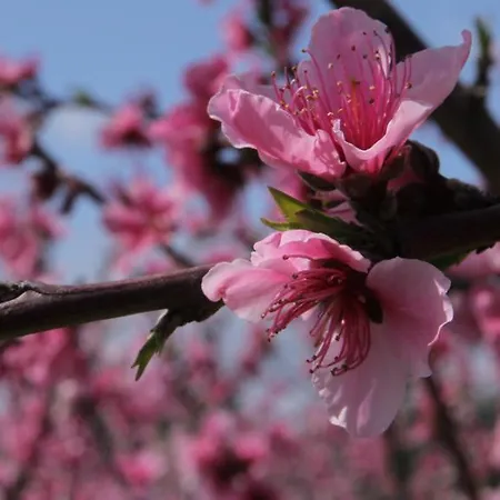 Venkovský dům Sarrabus San Priamo