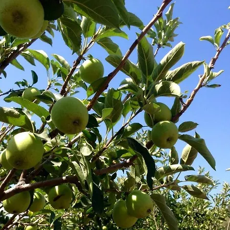 Sarrabus Casa rural *