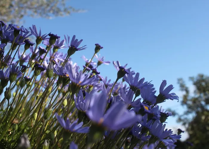Casa de Campo Sarrabus